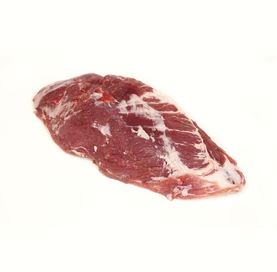 imagen presa de raza iberica